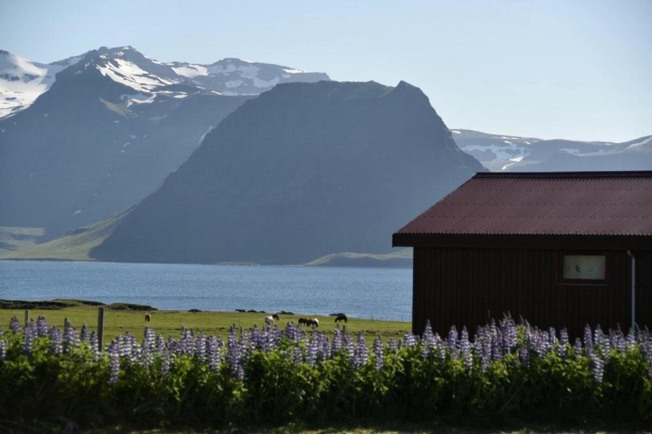 Sudur-Bar Guesthouse Grundarfjörður Eksteriør bilde