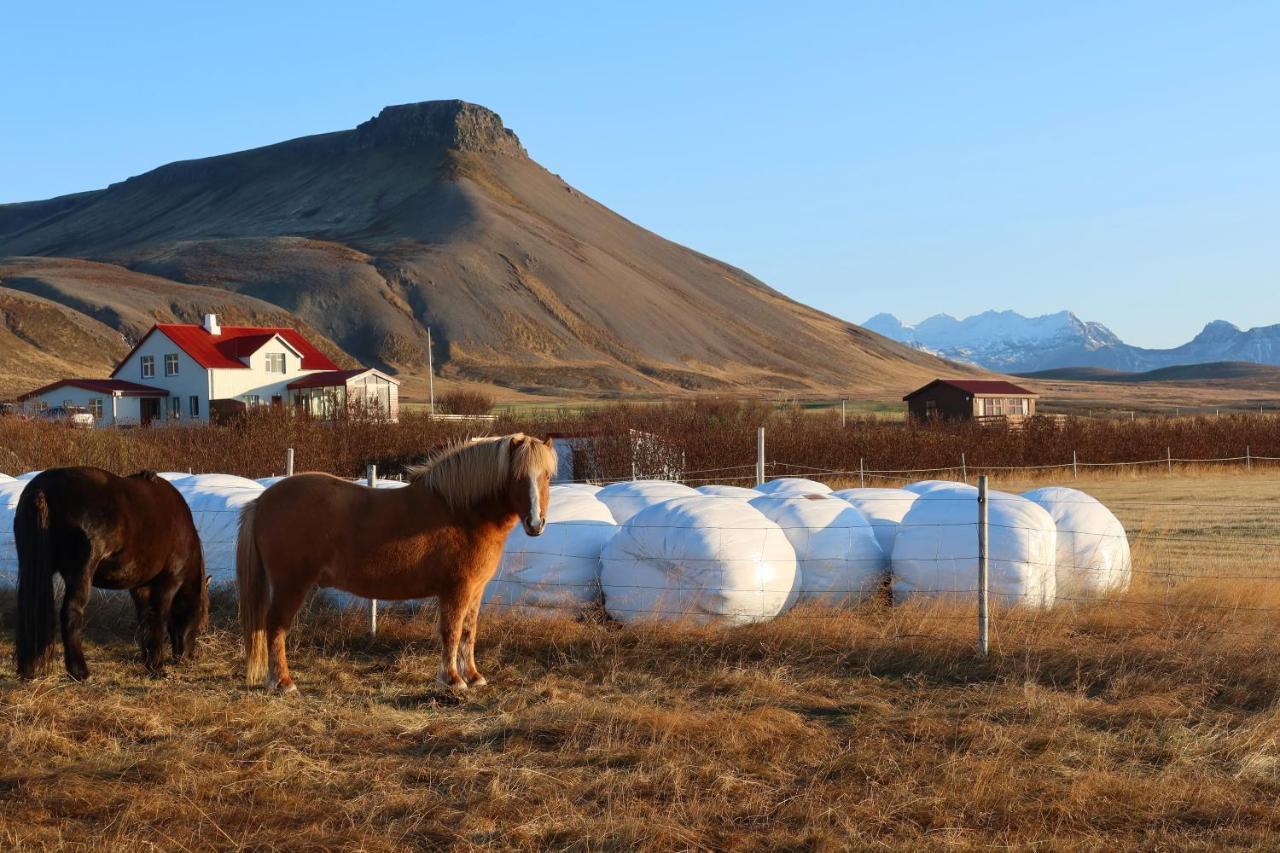 Sudur-Bar Guesthouse Grundarfjörður Eksteriør bilde