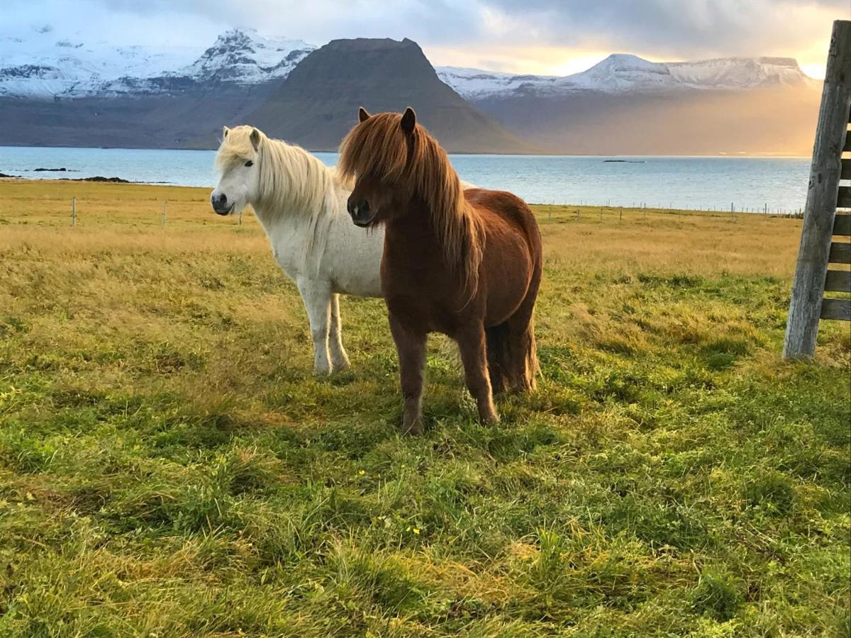 Sudur-Bar Guesthouse Grundarfjörður Eksteriør bilde